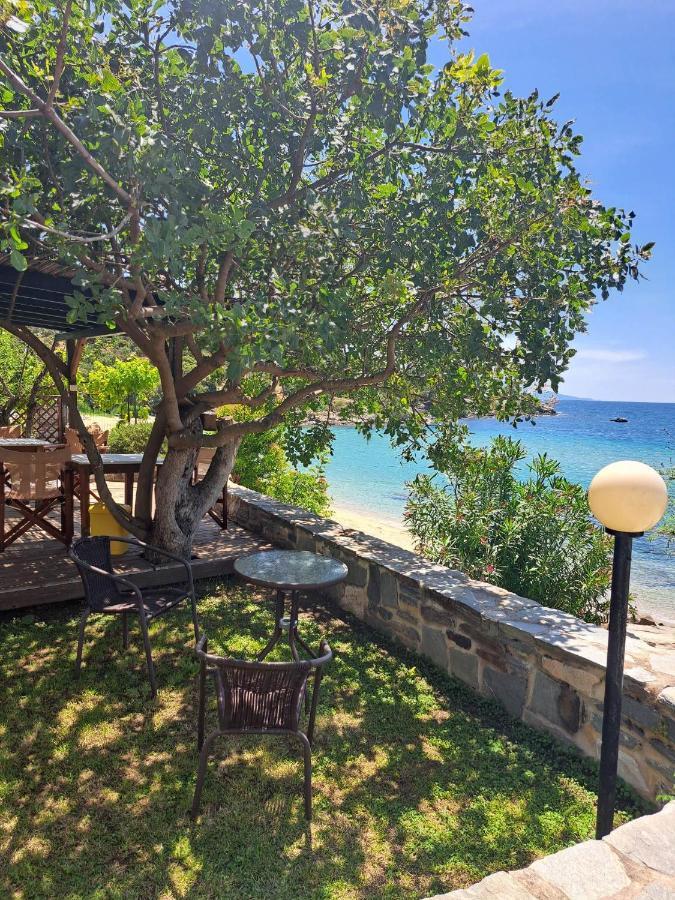 PalaiónTsiflíkion La Casa Sul Mare 빌라 외부 사진