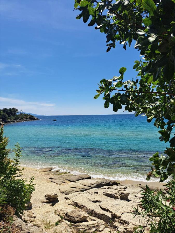 PalaiónTsiflíkion La Casa Sul Mare 빌라 외부 사진